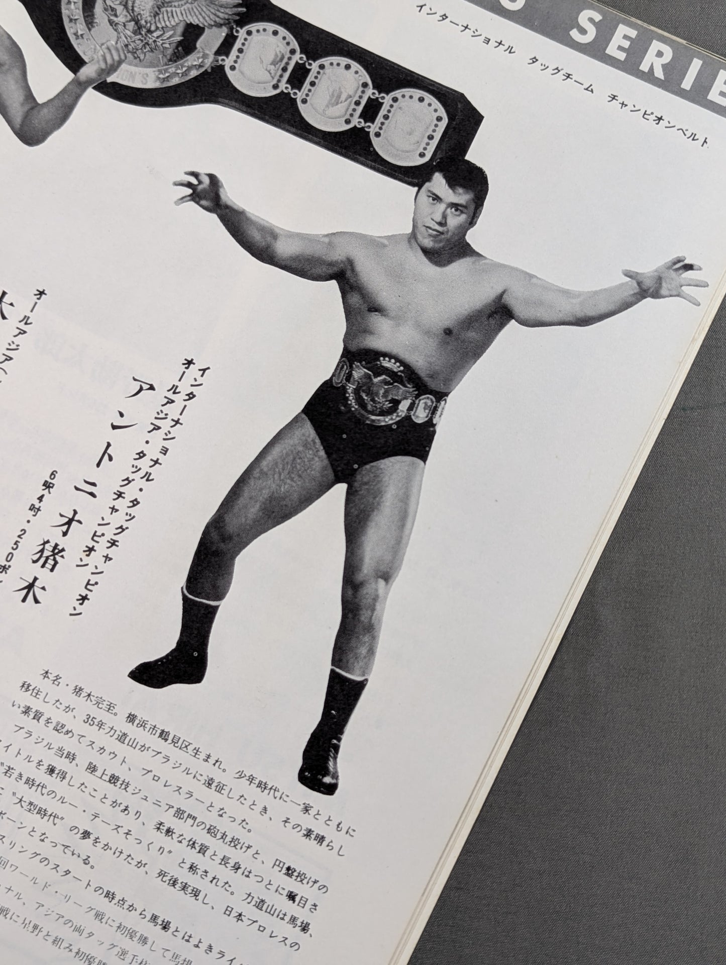 ★半券付★ 70インターナショナルチャンピオンシリーズ戦