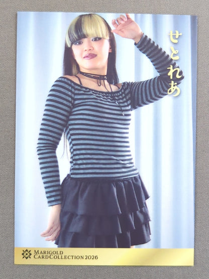2026 MARIGOLD CARD COLLECTION 瀬戸レア(127)