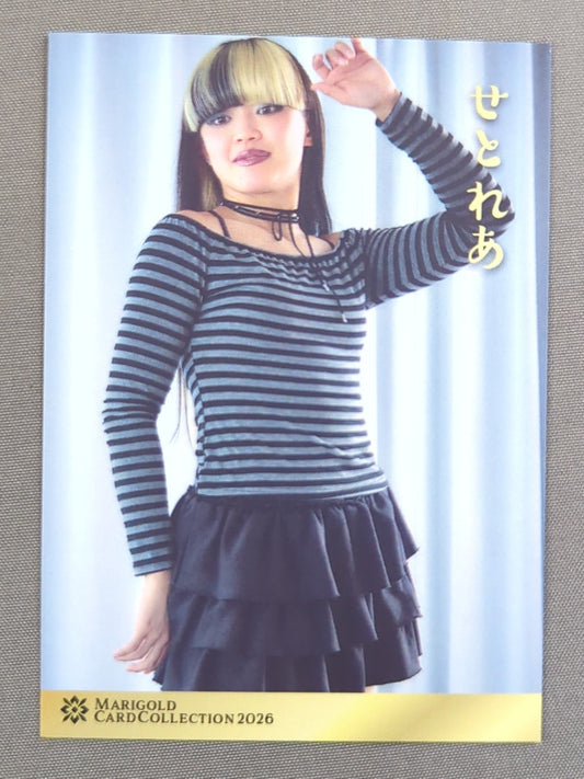 2026 MARIGOLD CARD COLLECTION 瀬戸レア(127)