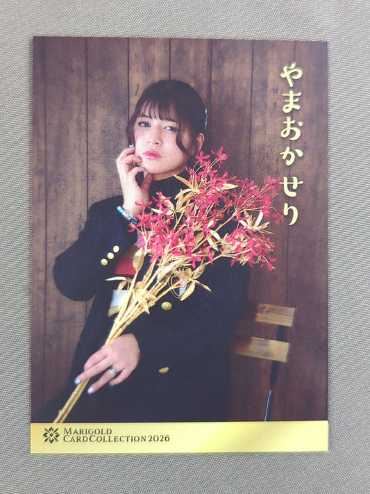 2026 MARIGOLD CARD COLLECTION 山岡聖怜(71)