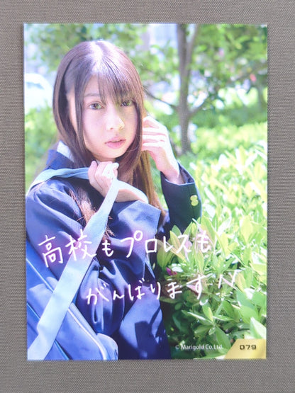 2026 MARIGOLD CARD COLLECTION 心希(79)