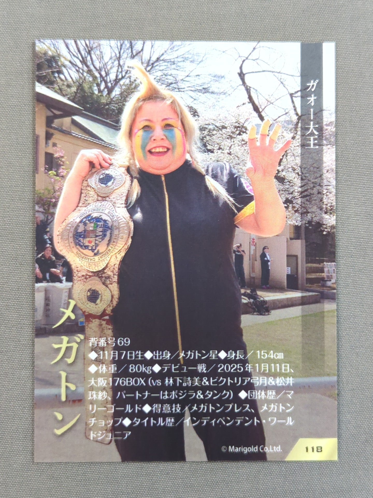 2026 MARIGOLD CARD COLLECTION メガトン(118)