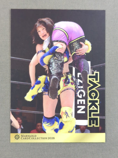 2026 MARIGOLD CARD COLLECTION 山岡聖怜×タックル(66)