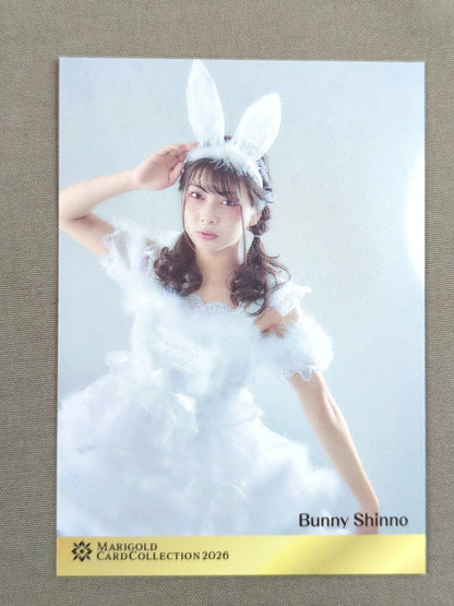 2026 MARIGOLD CARD COLLECTION 心希(77)