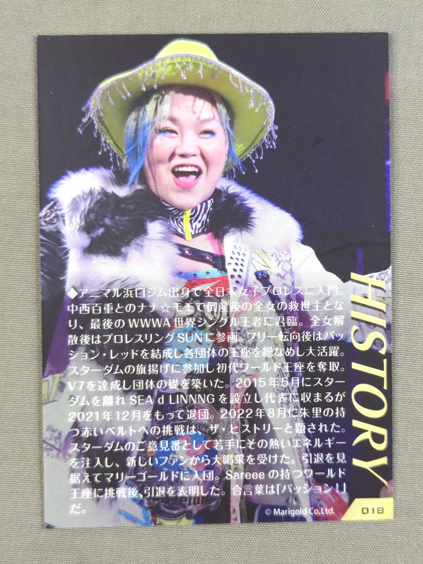 MARIGOLD CARD COLLECTION 高橋奈七永(18)