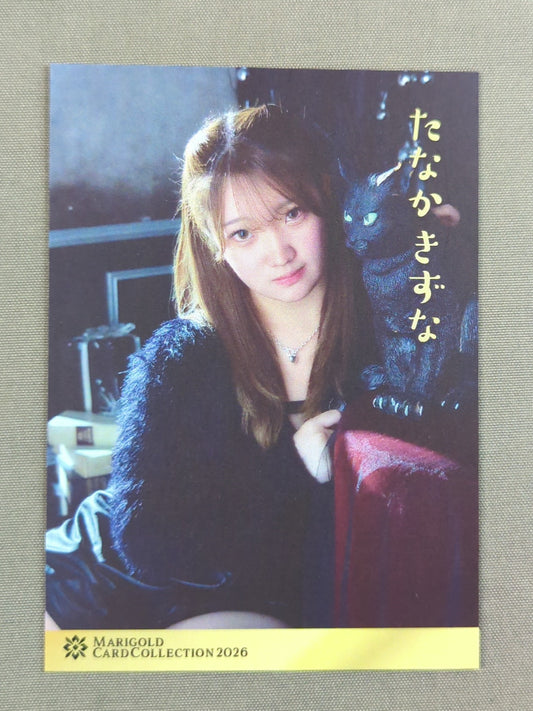 2026 MARIGOLD CARD COLLECTION 田中きずな(132)