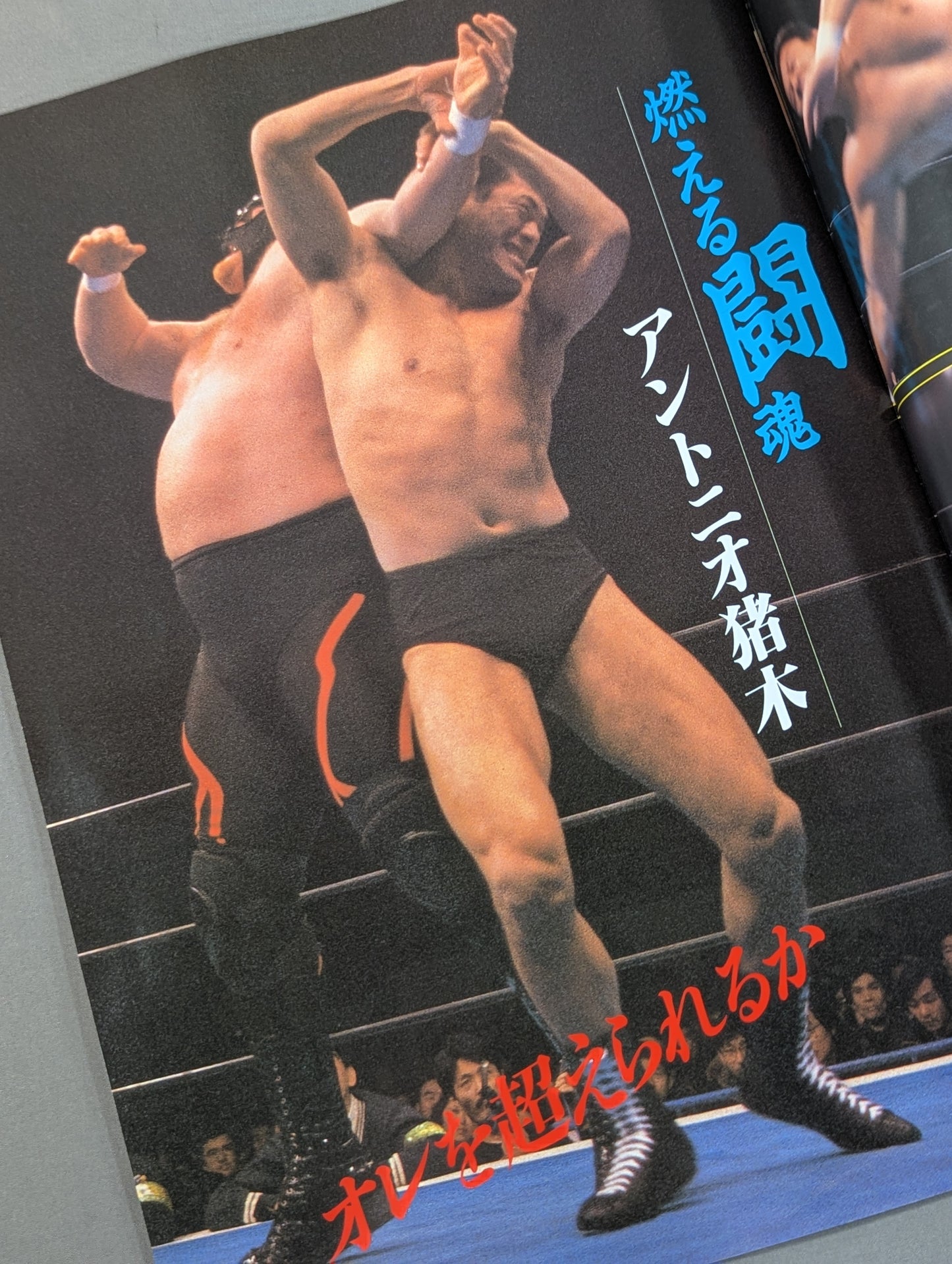サマーファイト・イン有明