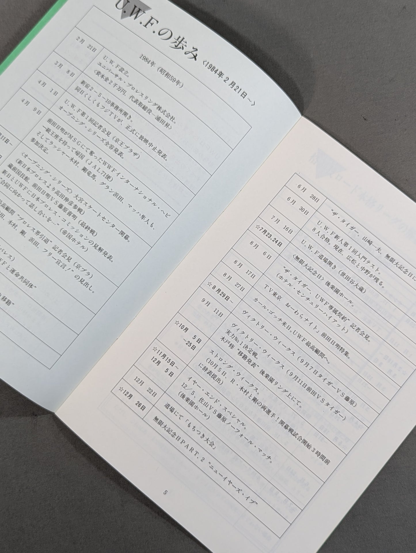 特別記念号《保存版》UWF誕生から未来へ