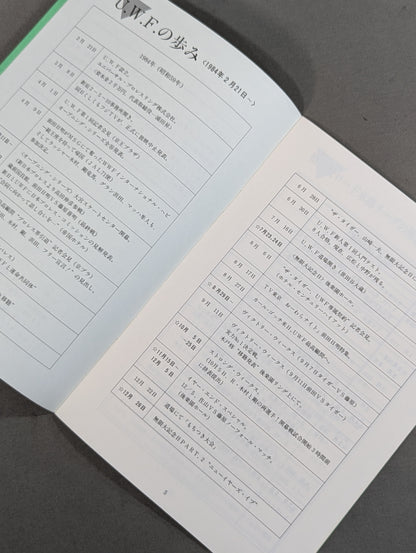 特別記念号《保存版》UWF誕生から未来へ