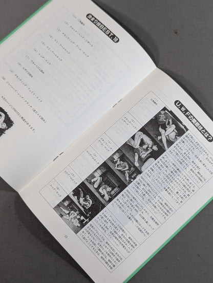 特別記念号《保存版》UWF誕生から未来へ