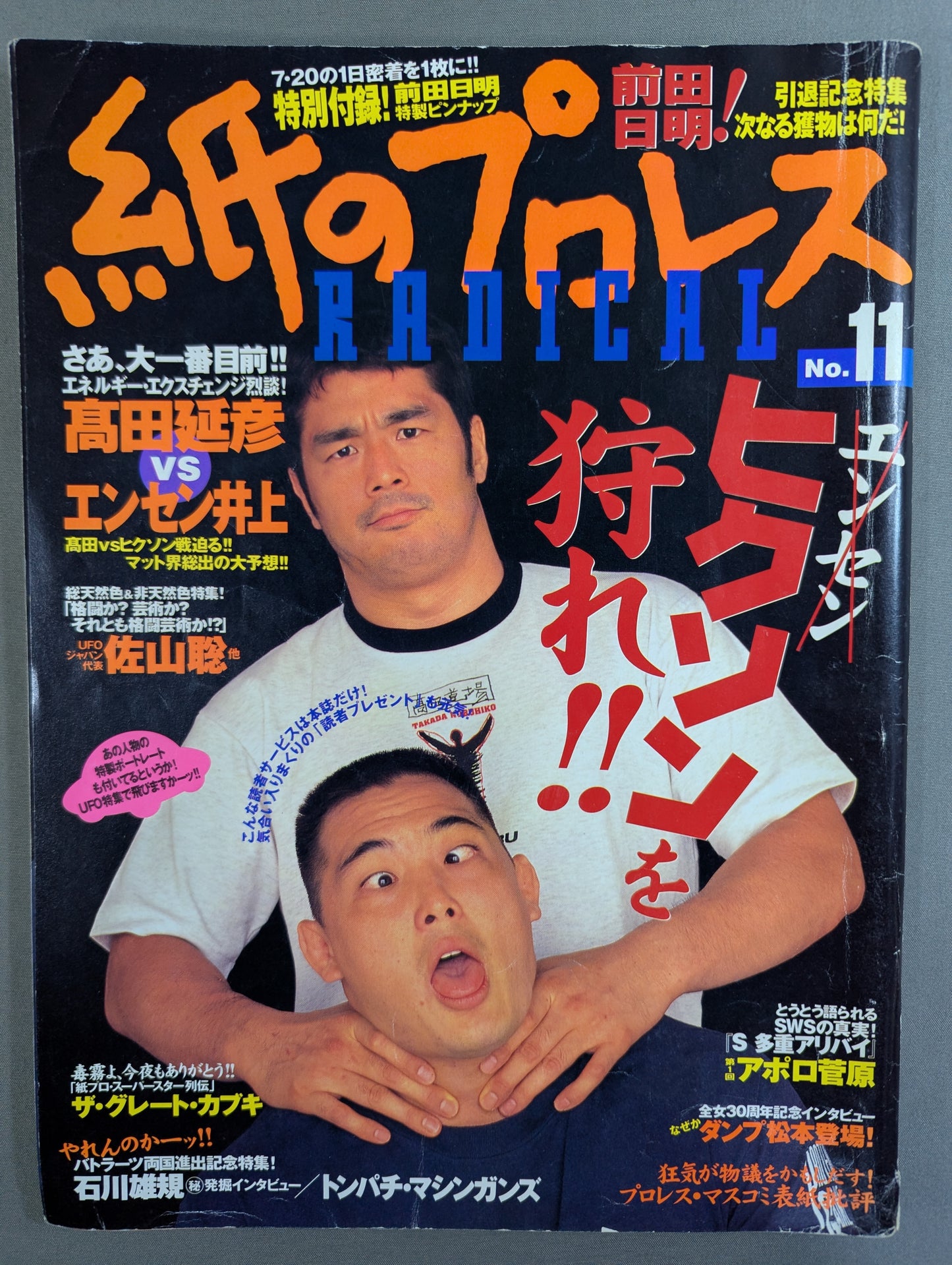 Paper Pro Wrestling RADICAL11
