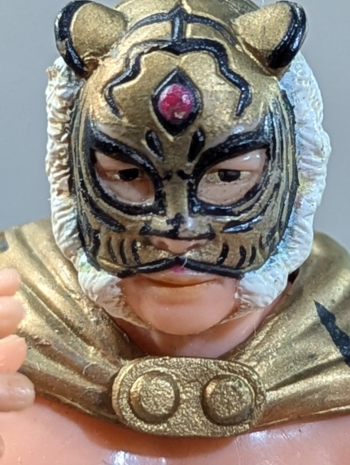 The first Tiger Mask (Legendary Type Cloak)