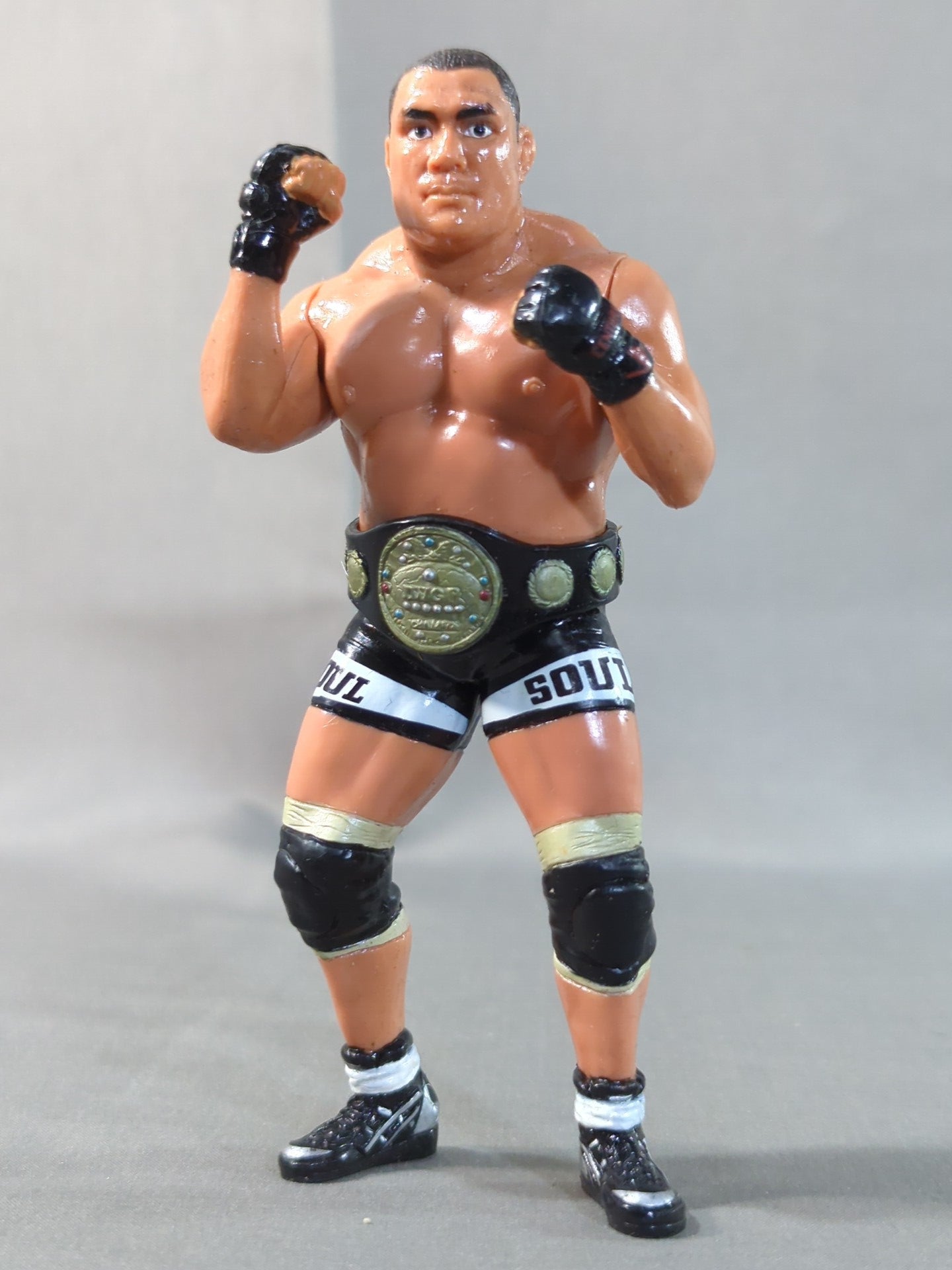 Kazuyuki Fujita (First IWGP Belt)