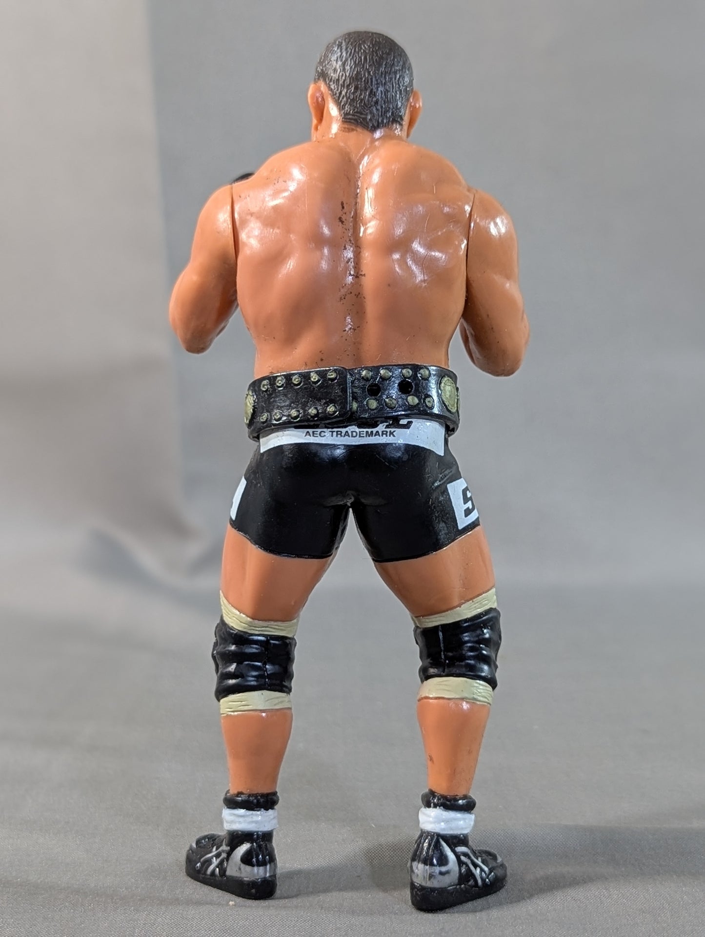 Kazuyuki Fujita (First IWGP Belt)