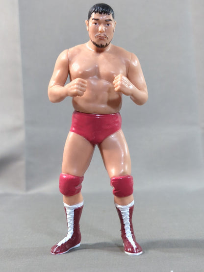 田上明(ファイティングポーズ)
