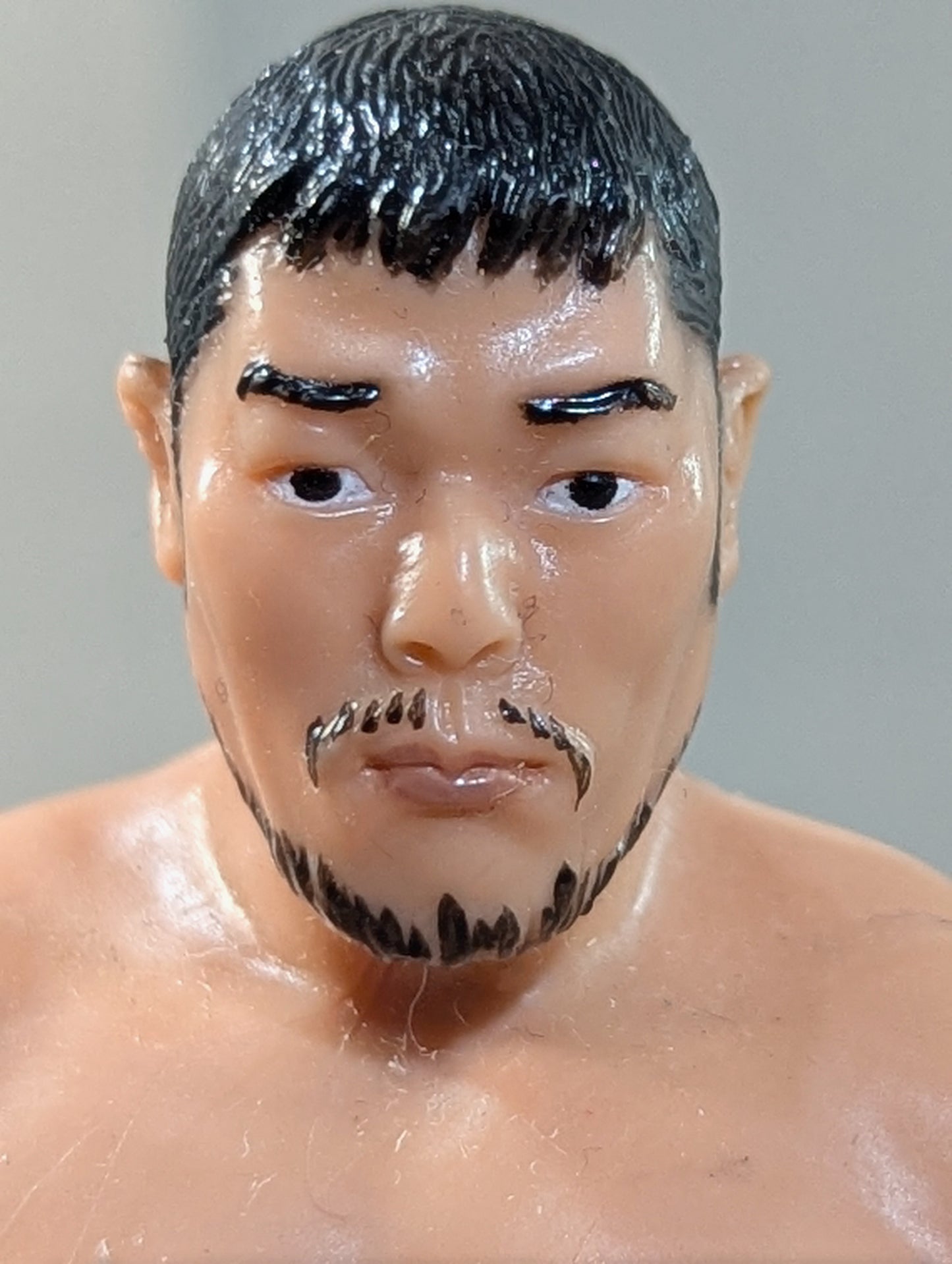 田上明(ファイティングポーズ)