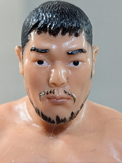 田上明(ファイティングポーズ)