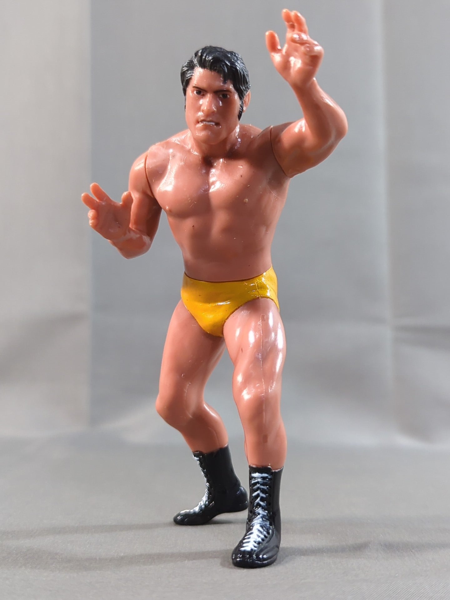 Antonio Inoki  (Flag-raising Opening Series)