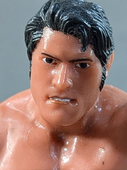 Antonio Inoki  (Flag-raising Opening Series)