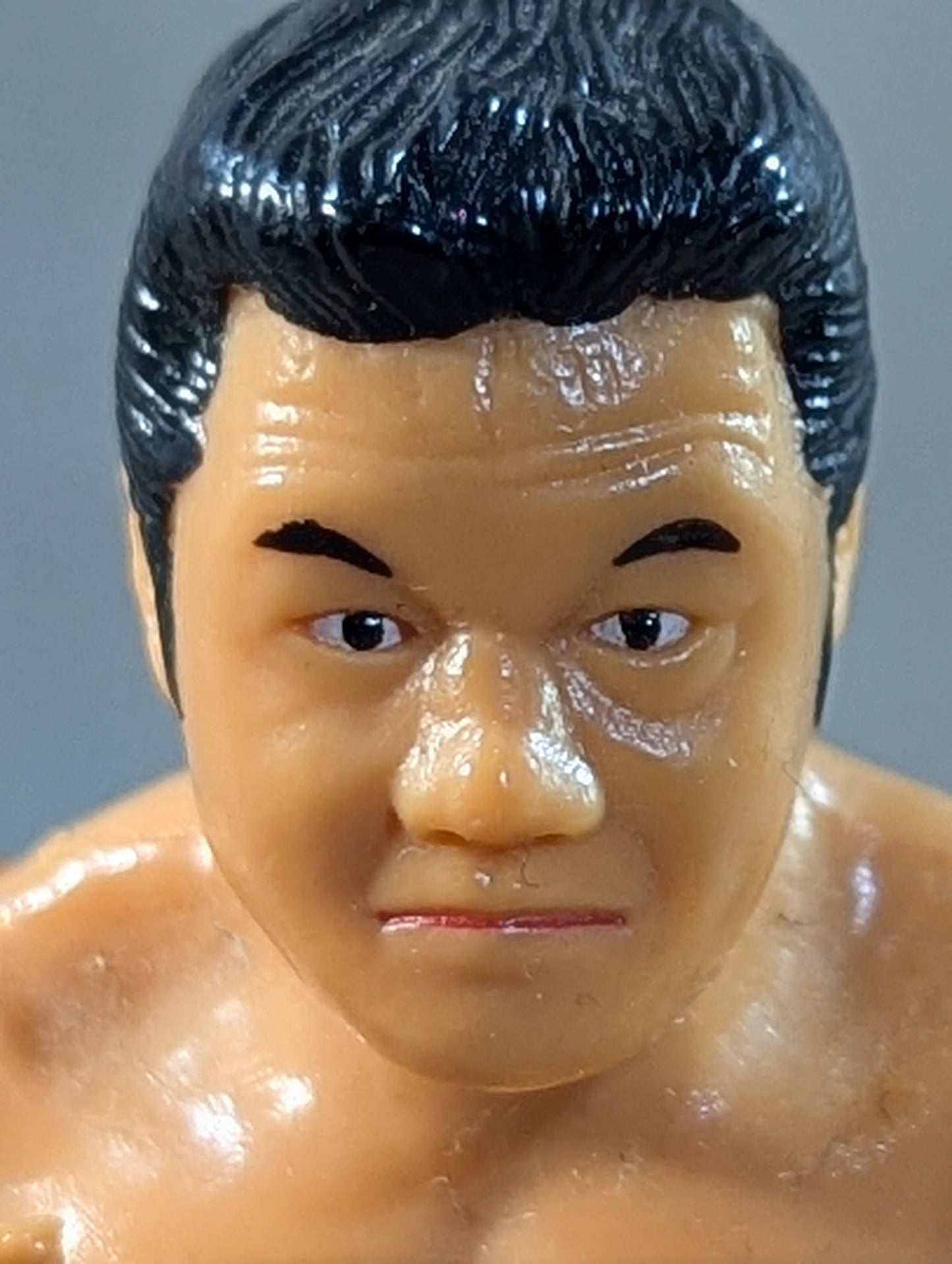 藤波辰爾