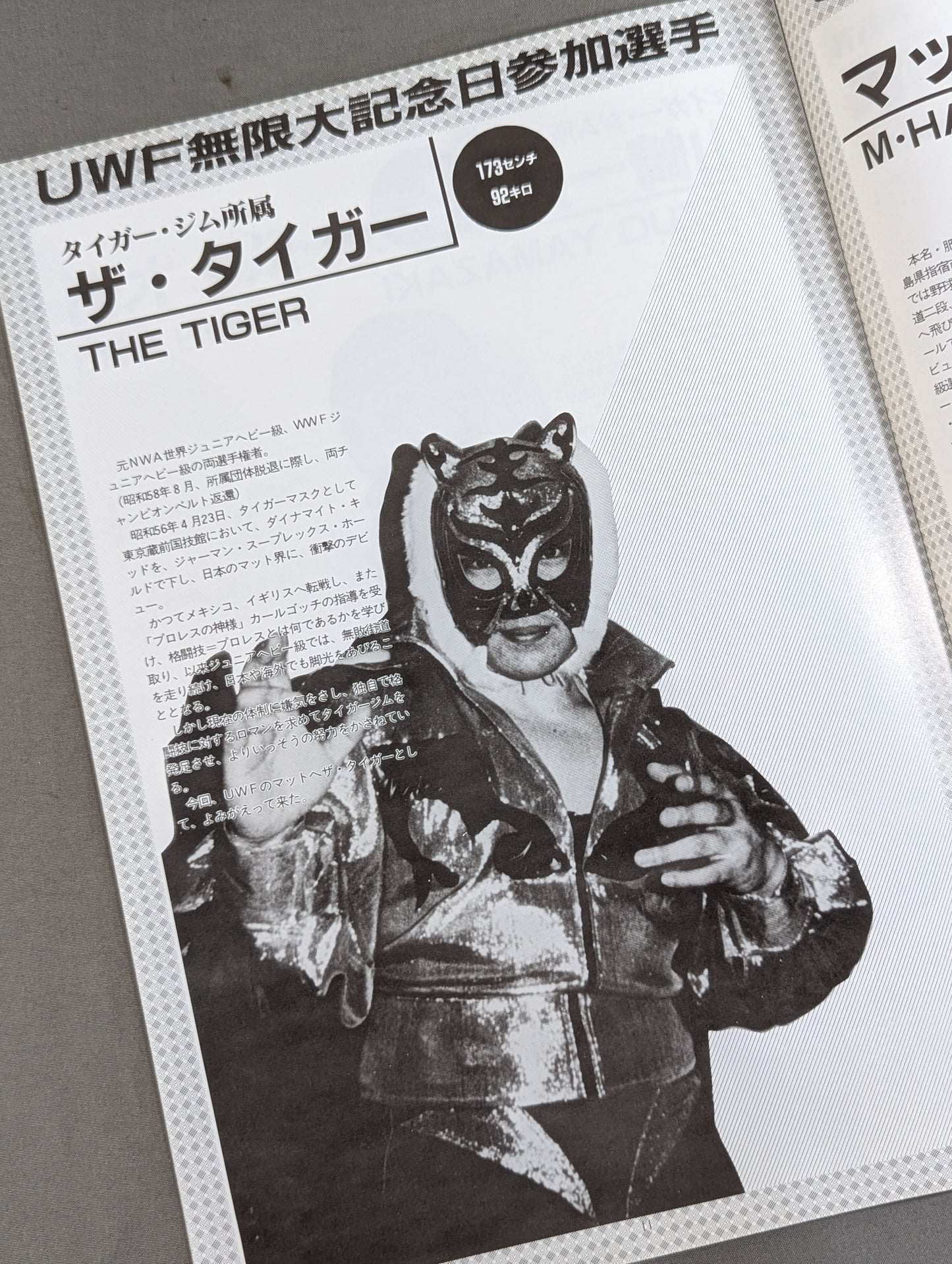 1st UWF / U.W.F. Infinity Anniversary Special Issue