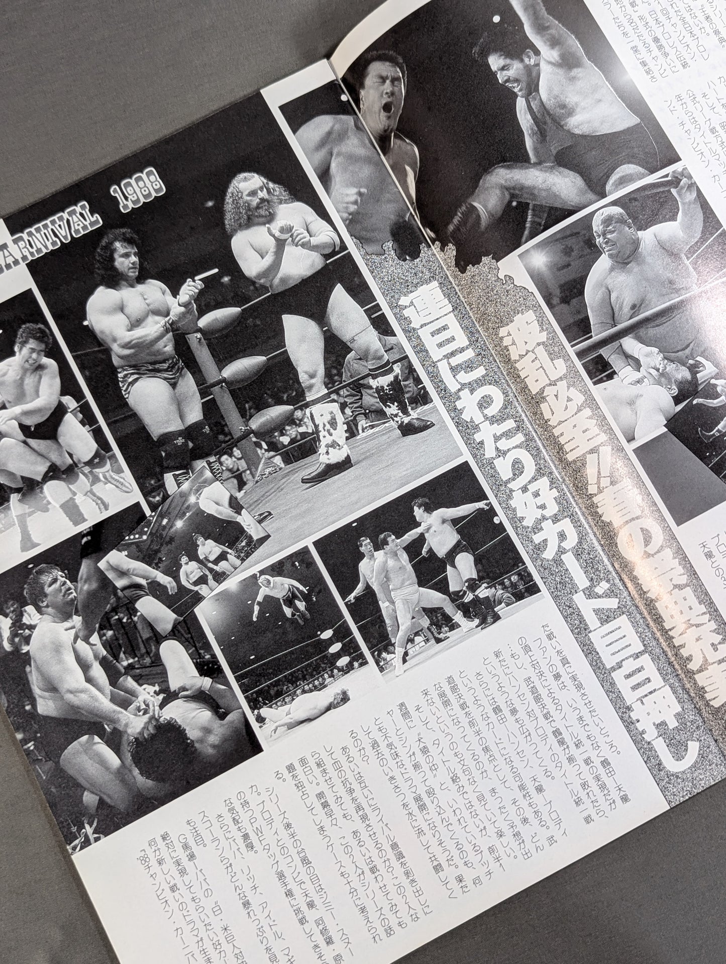 88 Carnival of Champions
