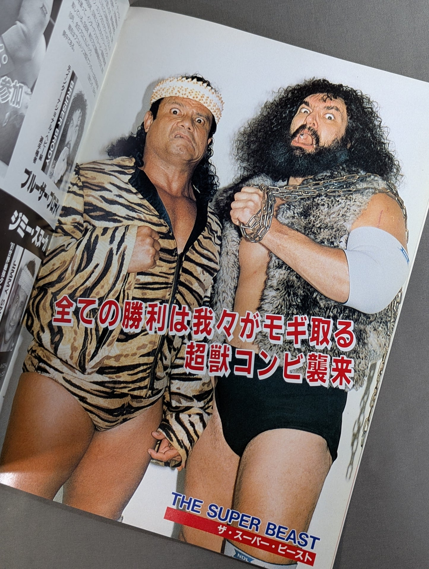 88 Carnival of Champions