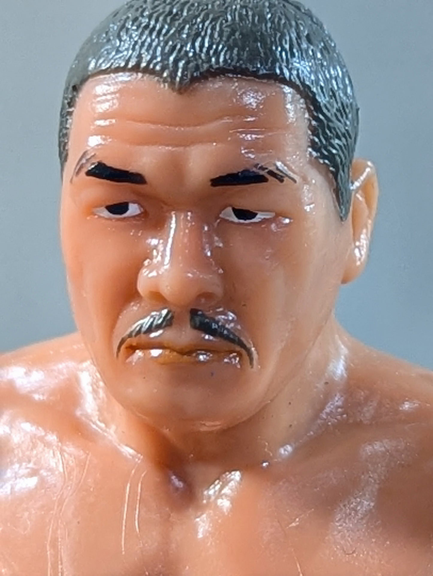 Yoshiaki Fujiwara  (Ring Shoes)