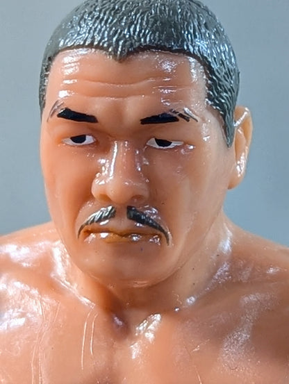 Yoshiaki Fujiwara  (Ring Shoes)
