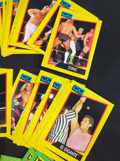 1991 WCW Impel レギュラーカード162枚 フルコンプリートセット