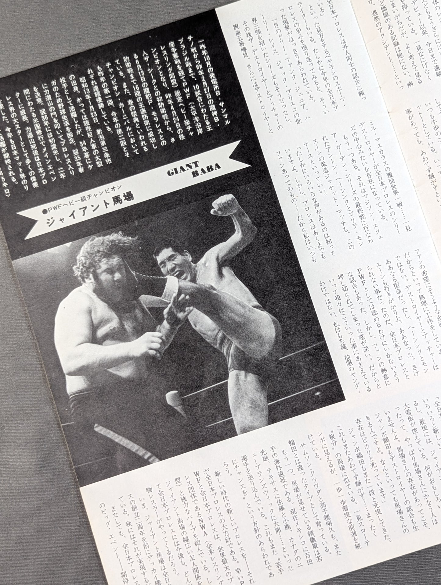 【半券付】74第2弾サマー・アクション・シリーズ