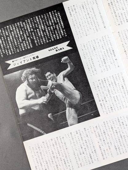 【半券付】74第2弾サマー・アクション・シリーズ