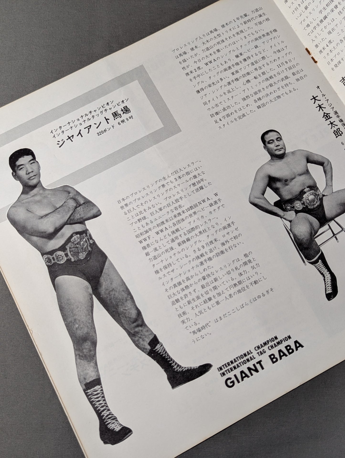 69NWA World Champion Series