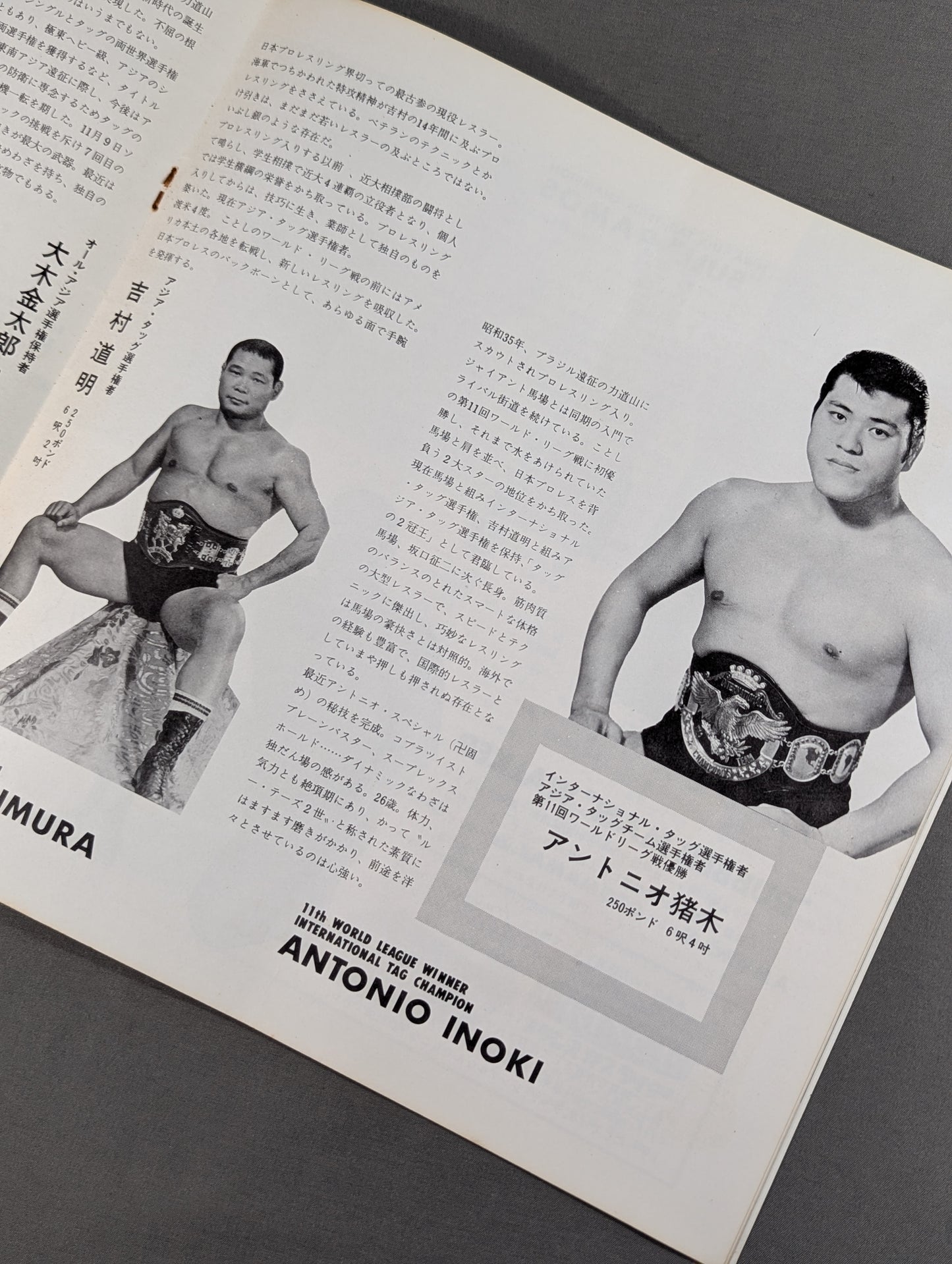 69NWA World Champion Series