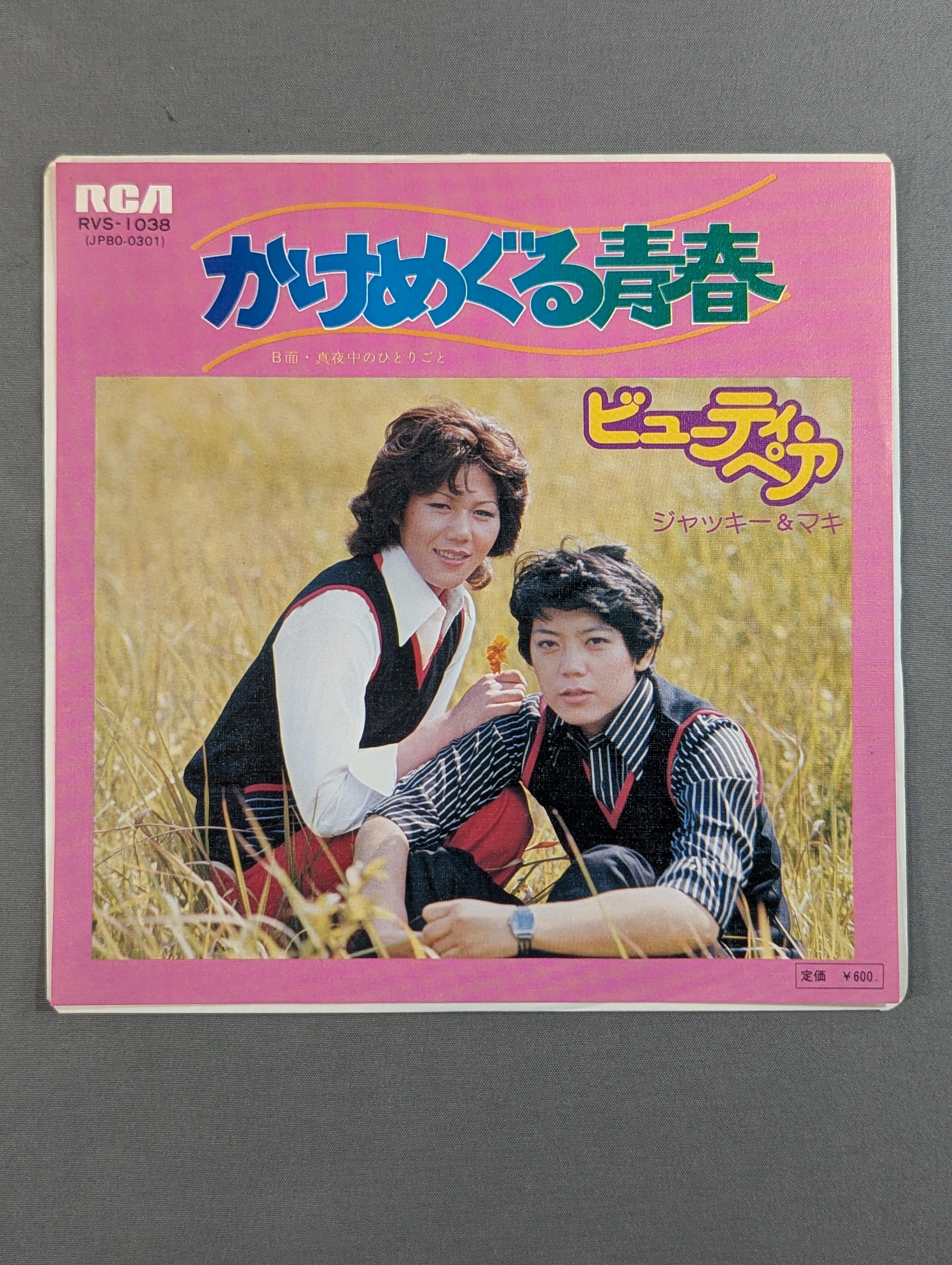 かけめぐる青春 ビューティ・ペア(野原ジャケット) – 闘道館