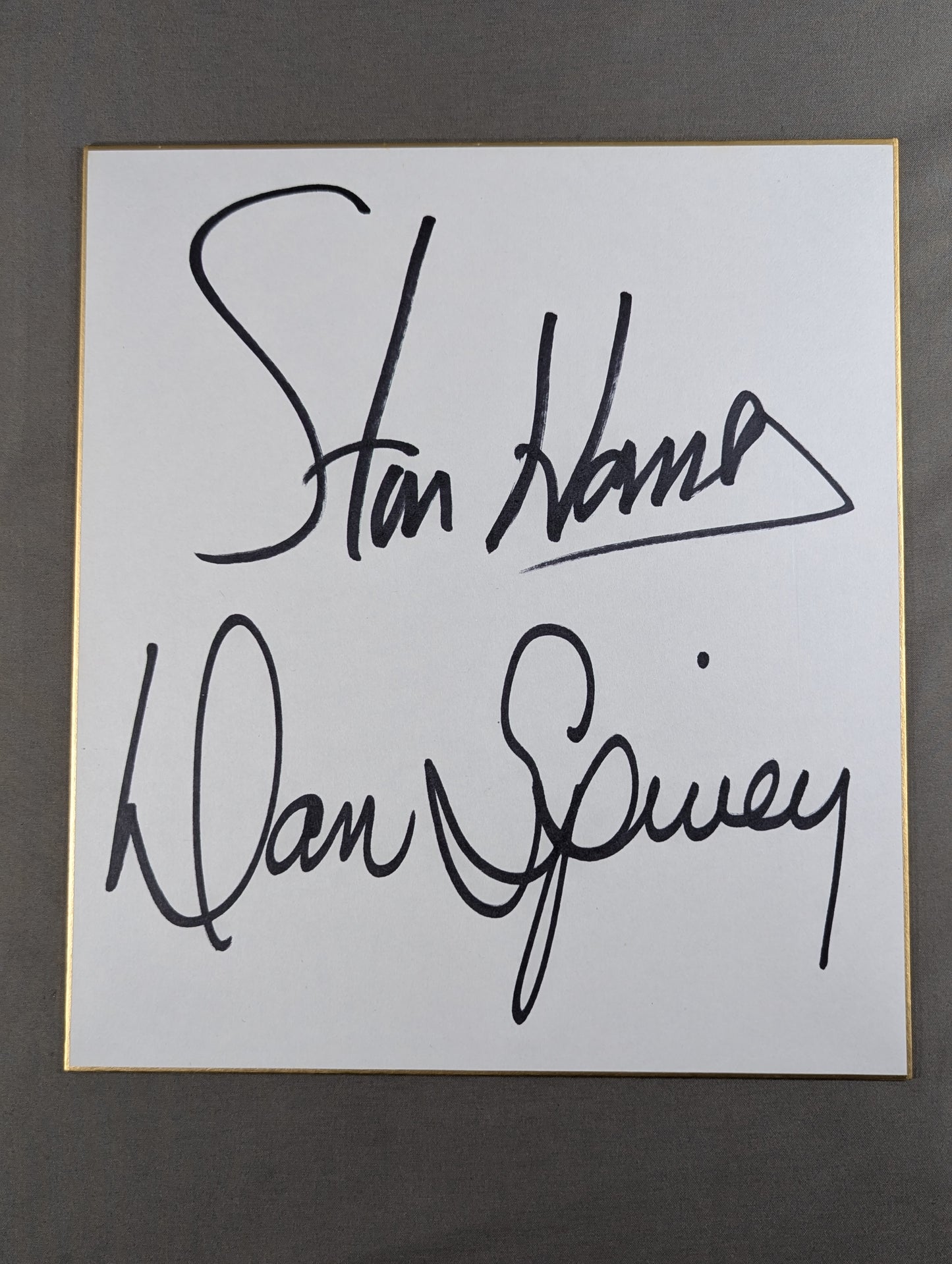 Stan Hansen & Dan Spivey (Danny Spivey)