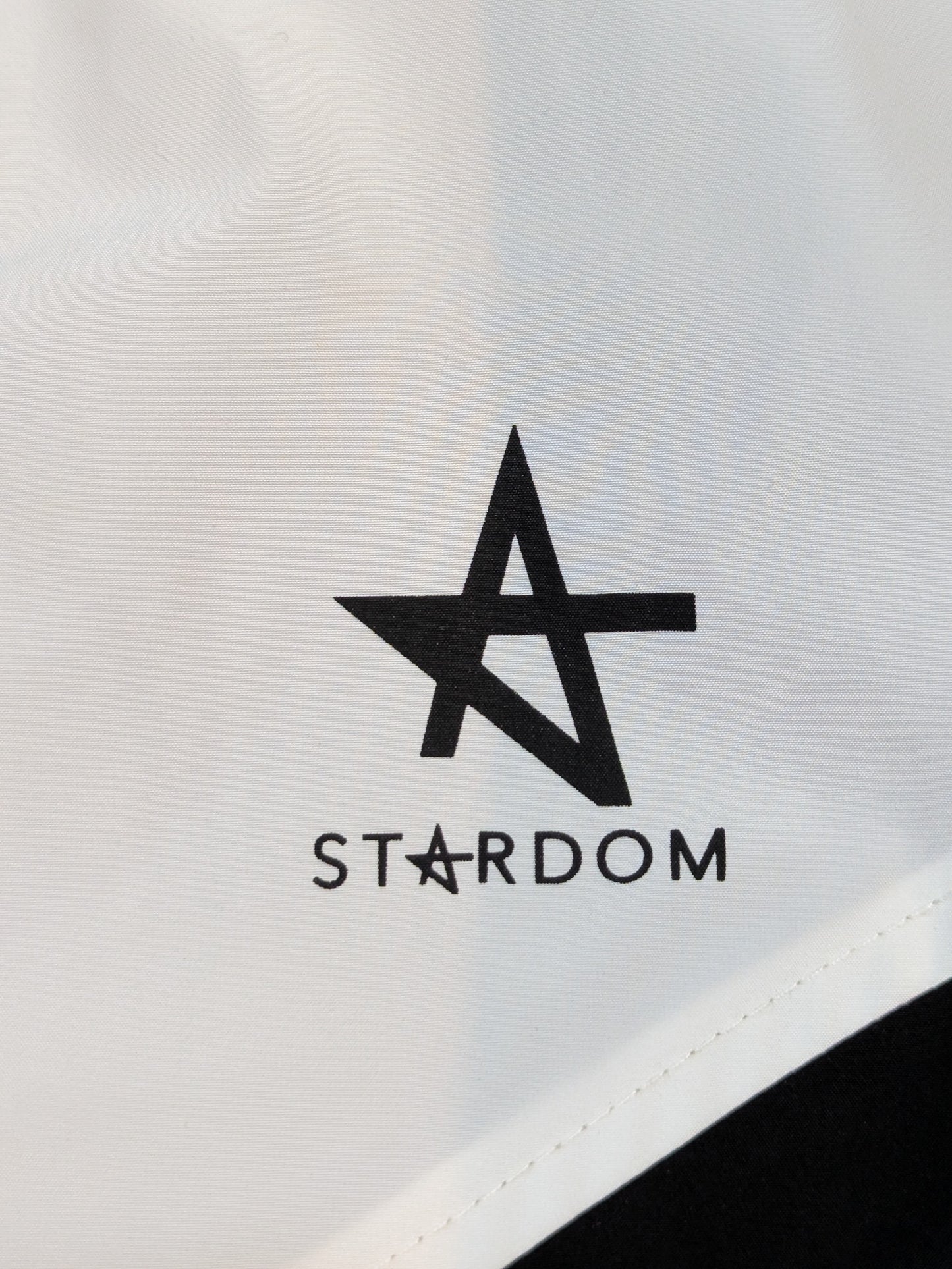 STARDOM Sports hoodie  (2022)