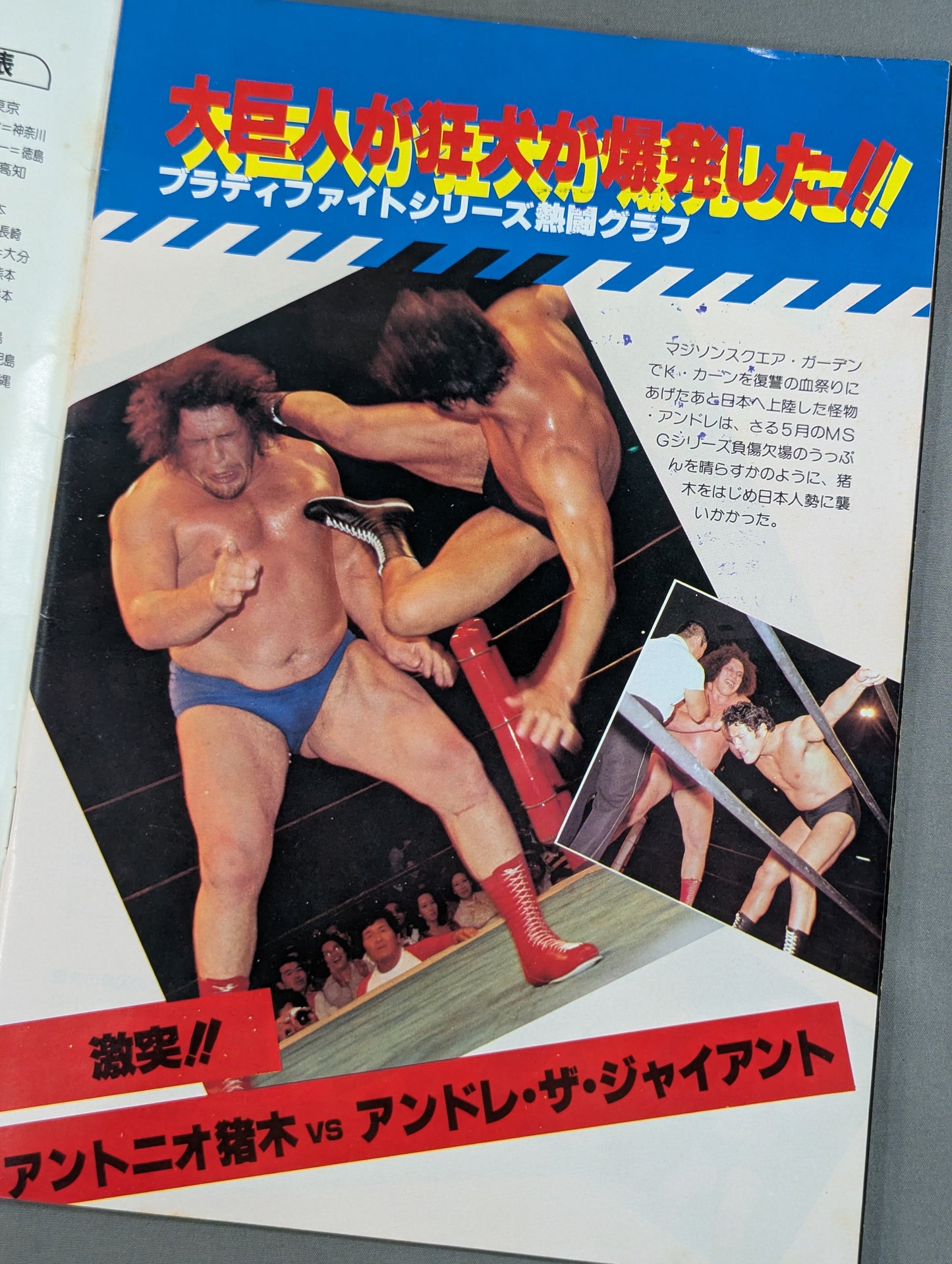 ★ Lumberjack Deathmatch ★ THE WRESTLER Fighting Spirit Series Vol.4