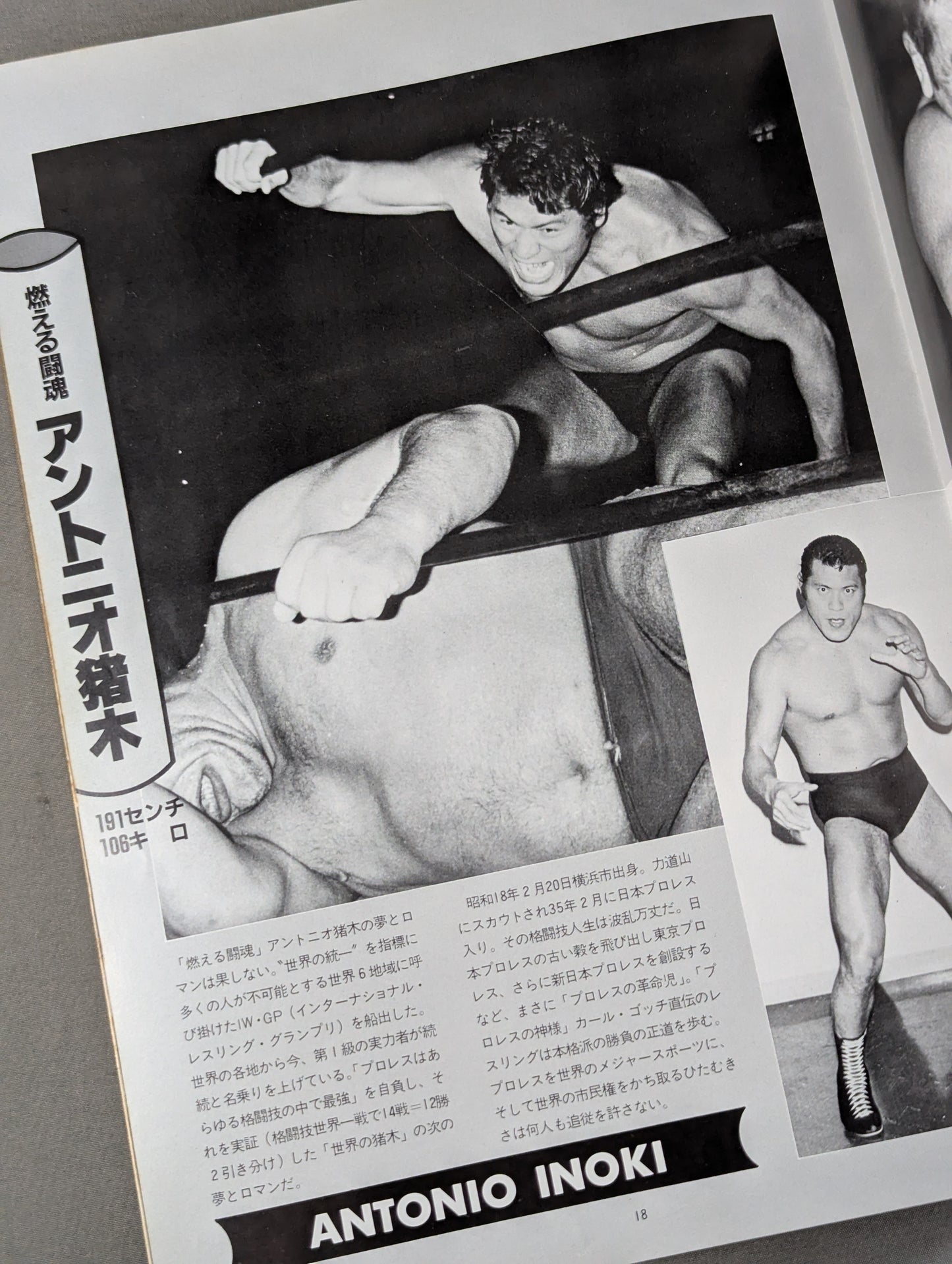 ★ Lumberjack Deathmatch ★ THE WRESTLER Fighting Spirit Series Vol.4