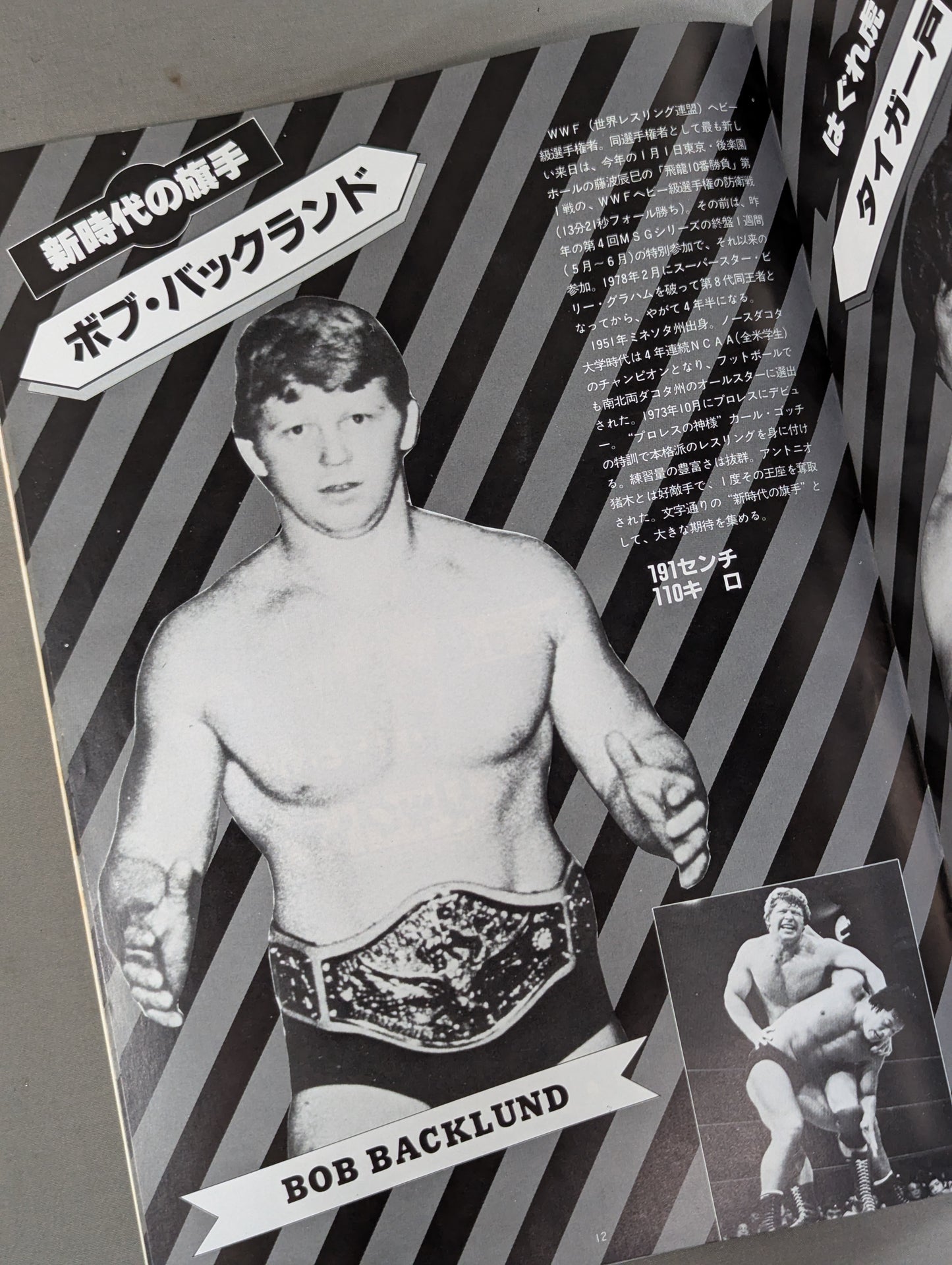 ★ Fujinami vs Backlund WWF ★ Battle THE WRESTLER Summer Fight Series Vol.10