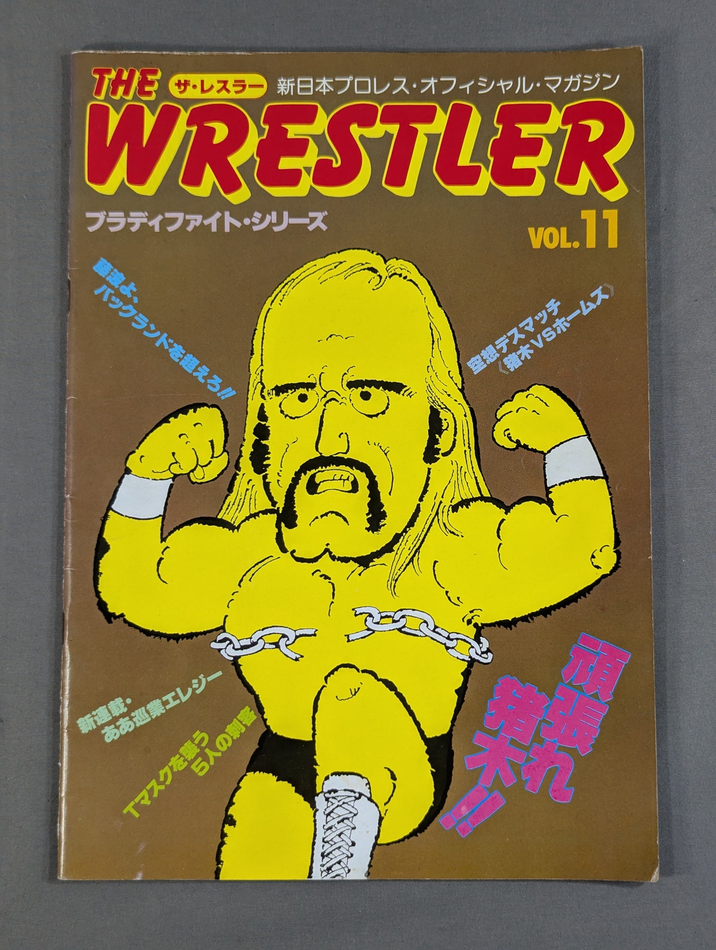 THE WRESTLER Bloody Fight Series Vol.11