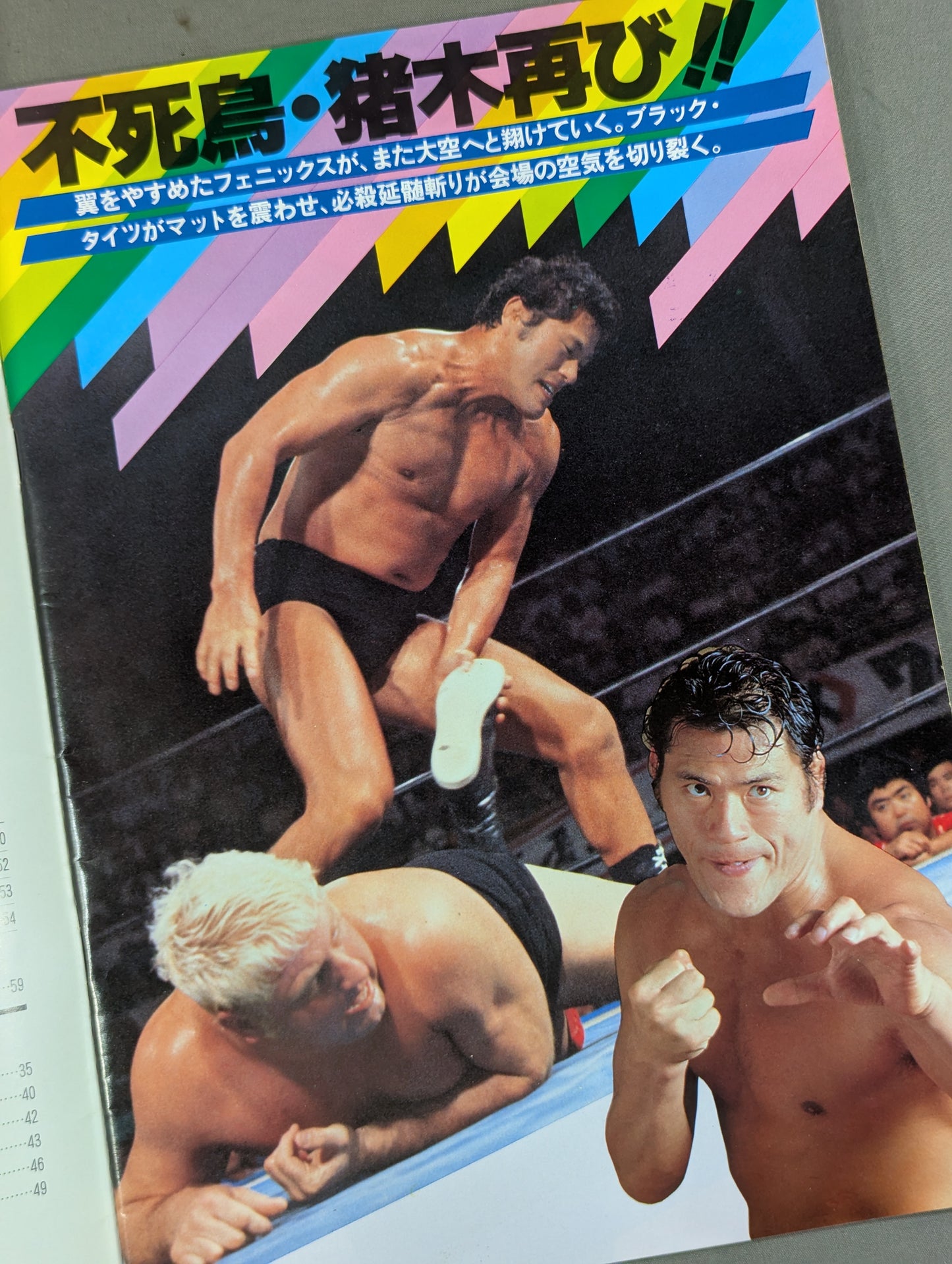 THE WRESTLER Bloody Fight Series Vol.11