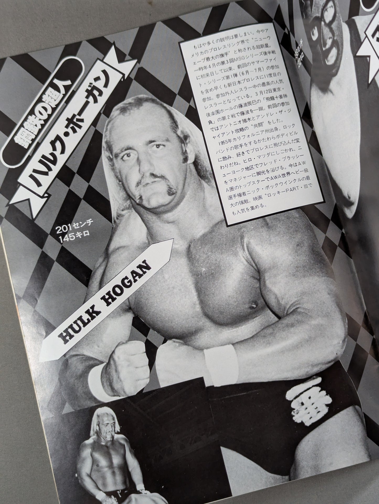 THE WRESTLER Bloody Fight Series Vol.11