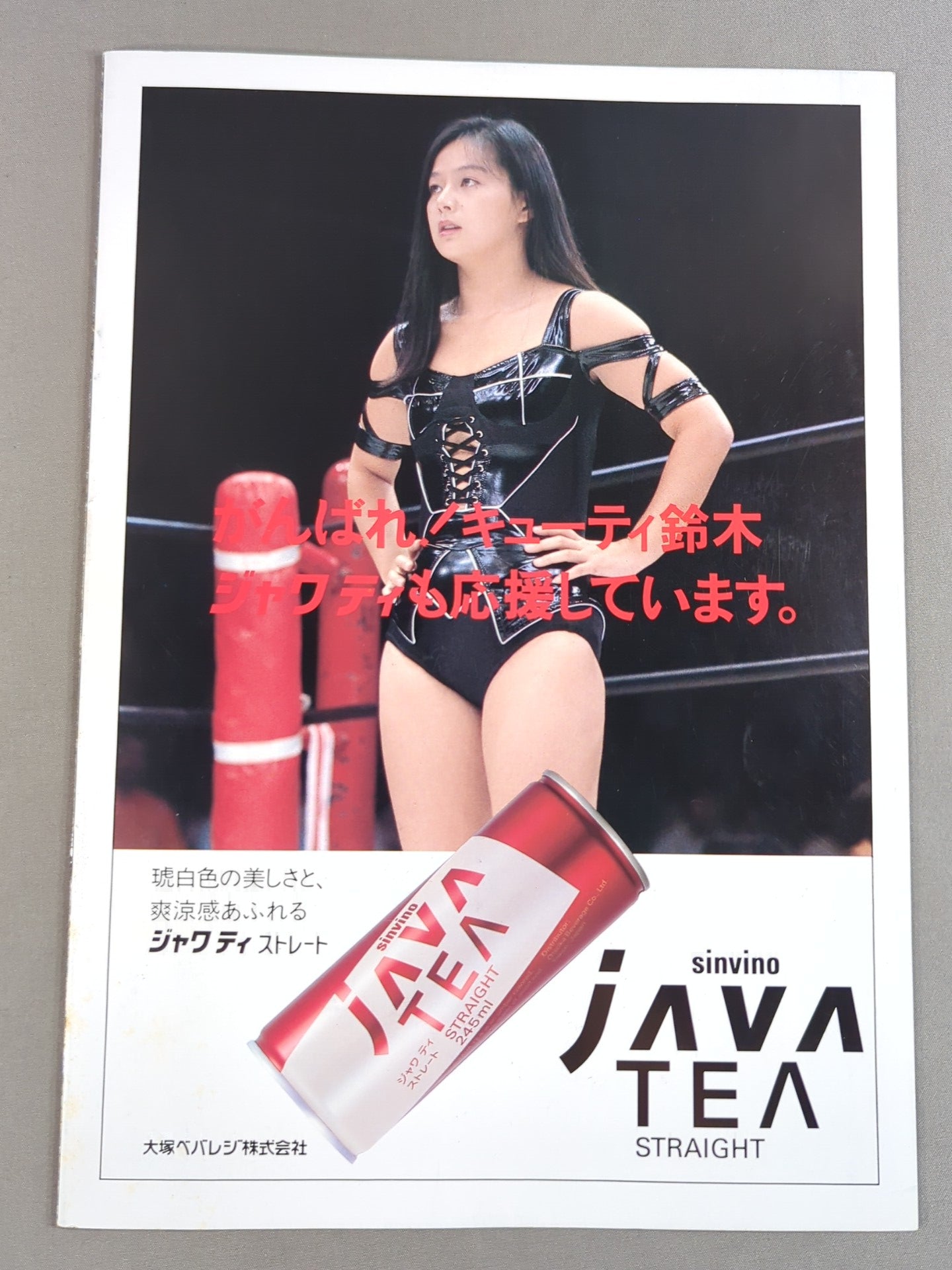 [Devil Masami hand signed autograph  and ticket stub included] JWP / OFFICIAL PAMPHLET Vol.4