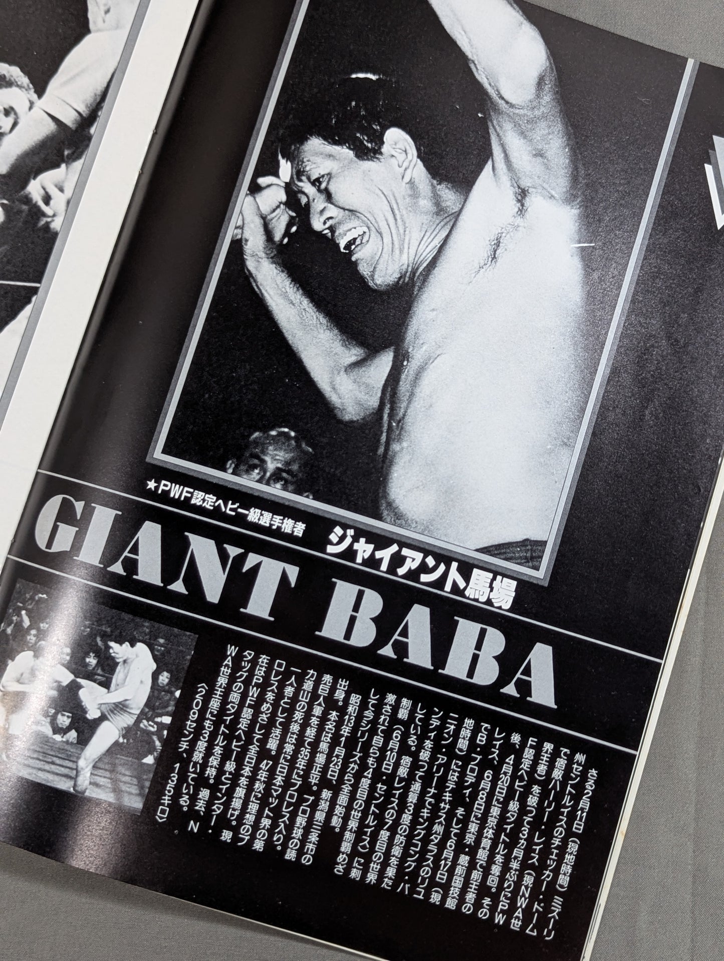 ★ Baba & Tsuruta vs. Shin & Manosuke Intertag Team Match ★ 83 Grand Champion Carnival III