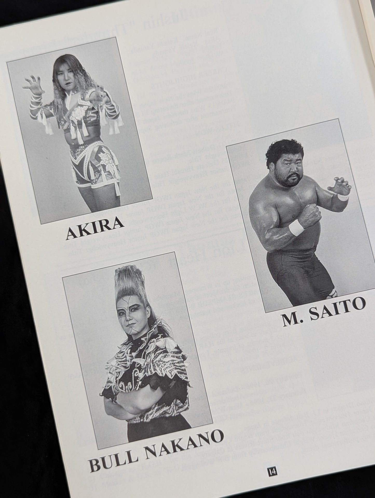 ★世界レスリング平和祭★ WORLD WRESTLING PEACE FESTIVAL