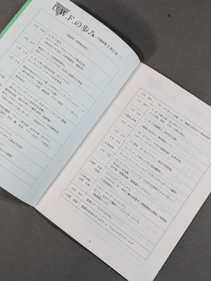 特別記念号《保存版》UWF誕生から未来へ