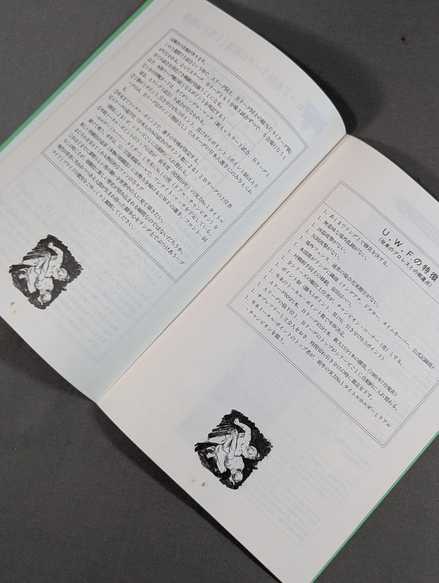 特別記念号《保存版》UWF誕生から未来へ