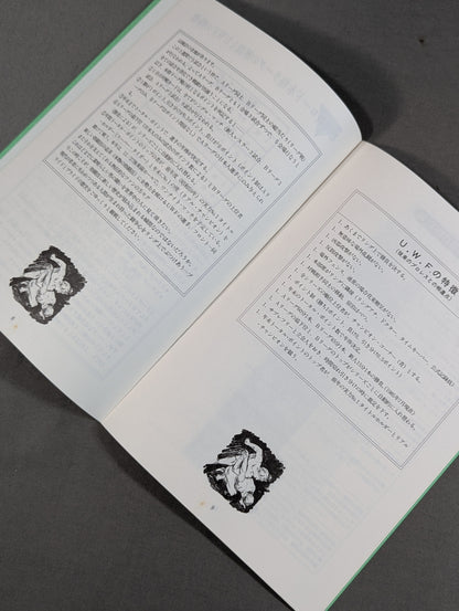 特別記念号《保存版》UWF誕生から未来へ