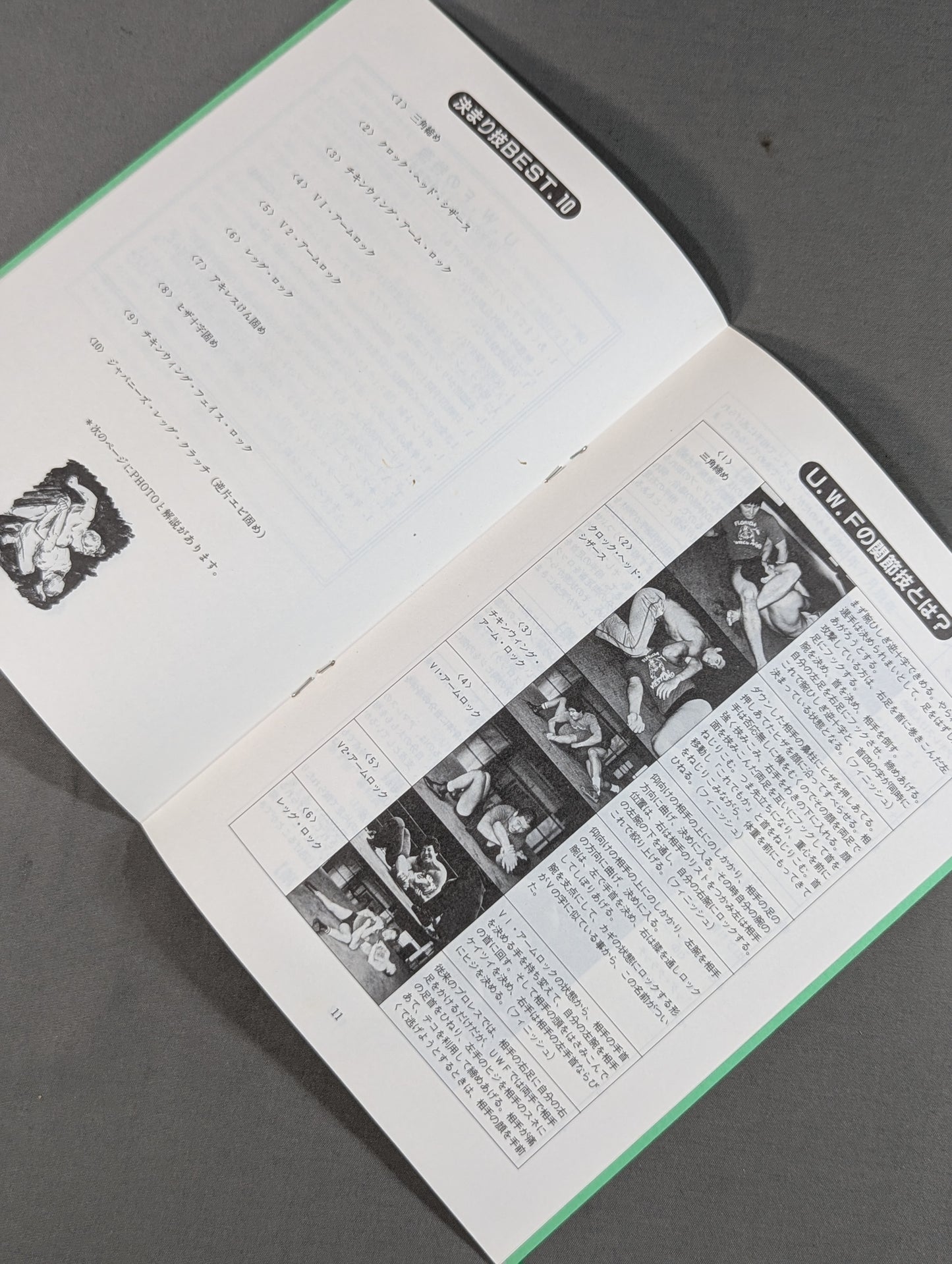 特別記念号《保存版》UWF誕生から未来へ